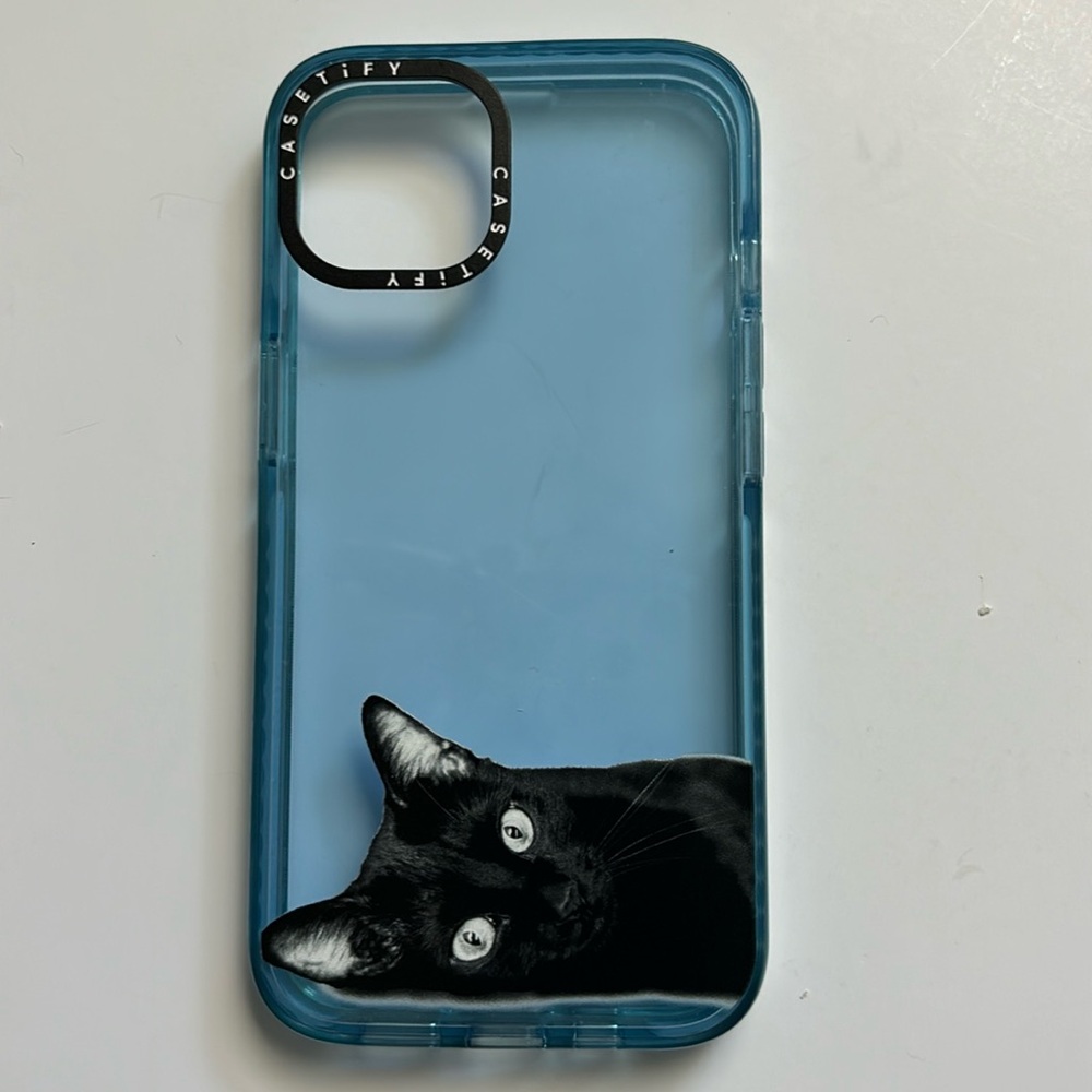 Casetify IPhone Case